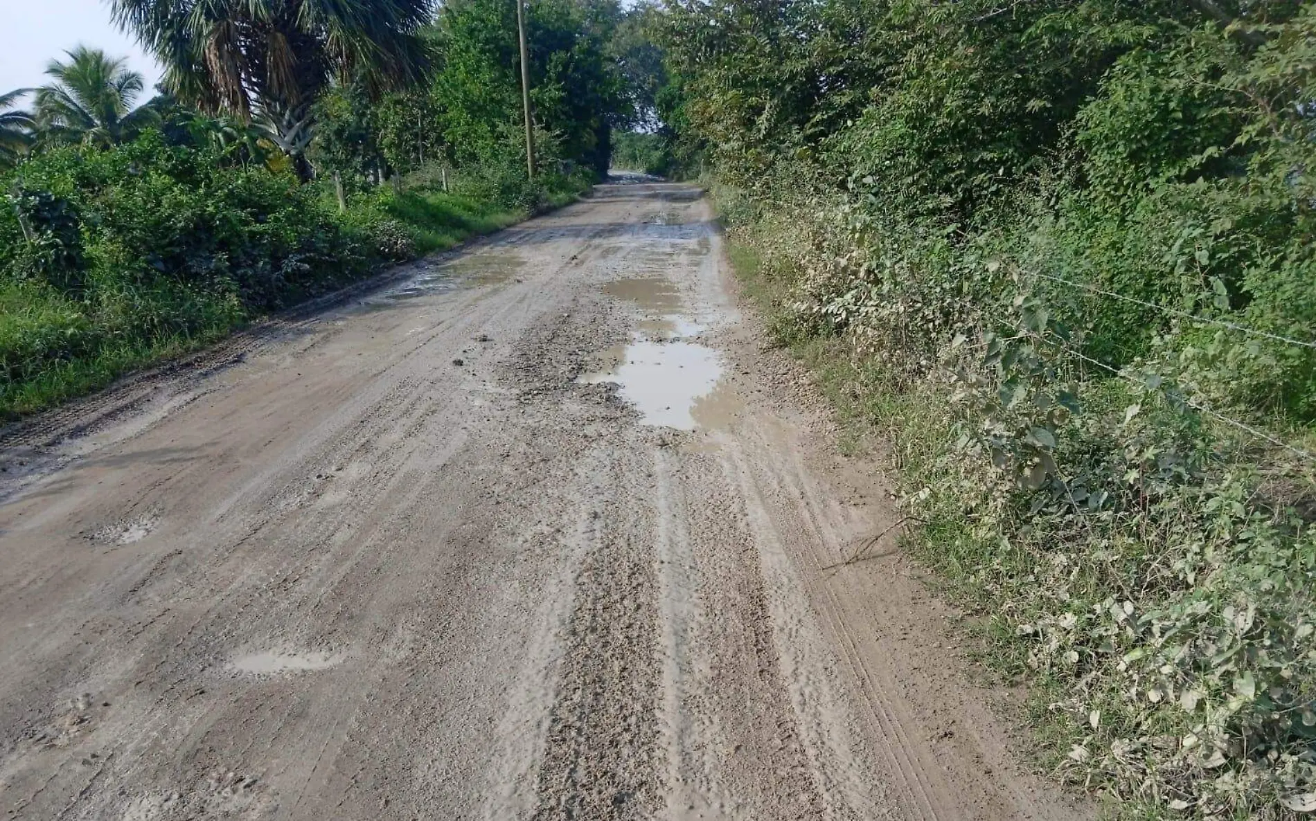 Caminos deplorables en la zona rural de Pueblo Viejo Alfredo Márquez  (2)